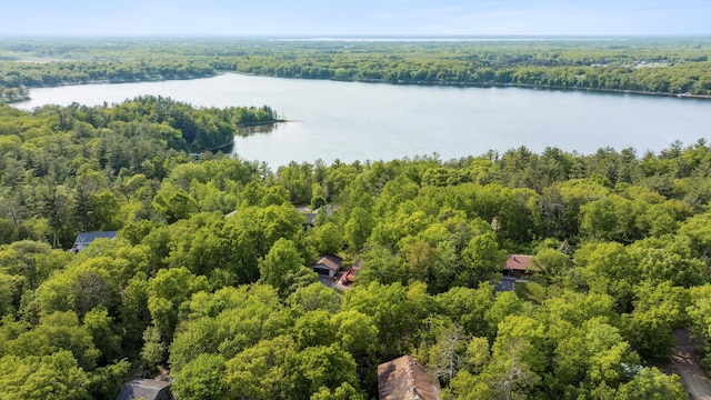 16137 Ahrens Hill Rd, Brainerd, MN 56401 - aerial view of a heavily wooded area and a nearby body of water