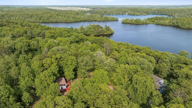 16137 Ahrens Hill Rd, Brainerd, MN 56401 - drone / aerial view of a heavily wooded area and a large body of water