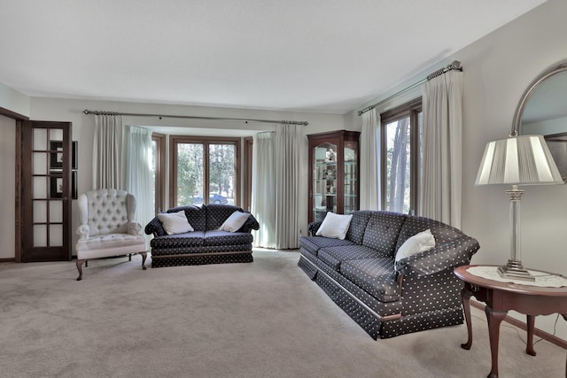 1317 Waterford Rd, Woodbury, MN 55125 - view of carpeted living area