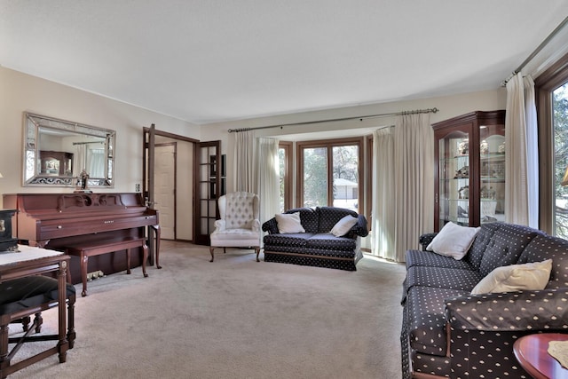 1317 Waterford Rd, Woodbury, MN 55125 - living room featuring carpet and a wood stove