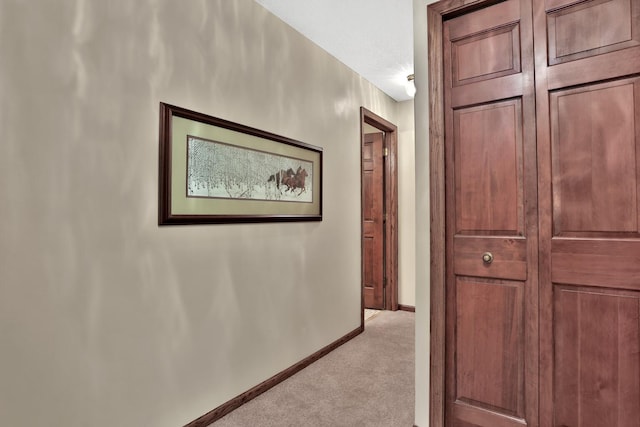 1317 Waterford Rd, Woodbury, MN 55125 - corridor featuring light carpet and baseboards
