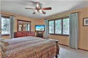 1317 Waterford Rd, Woodbury, MN 55125 - bedroom with light carpet, baseboards, and a ceiling fan