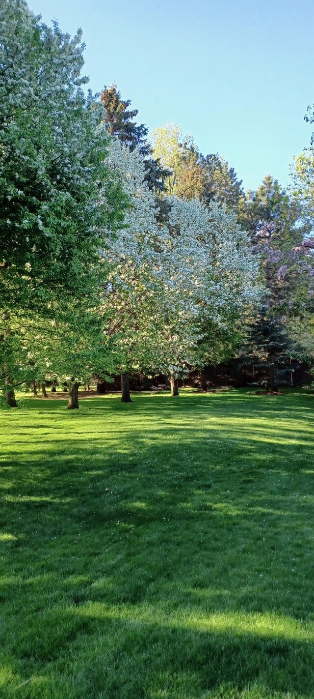 1317 Waterford Rd, Woodbury, MN 55125 - view of grassy yard