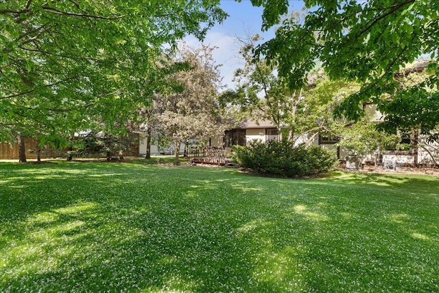 1317 Waterford Rd, Woodbury, MN 55125 - view of green lawn