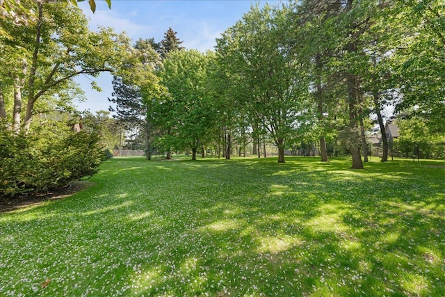 1317 Waterford Rd, Woodbury, MN 55125 - view of yard
