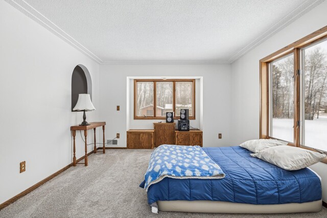 93 County 49 NW, Pine River, MN 56474 - bedroom with multiple windows, carpet, a textured ceiling, ornamental molding, and access to exterior