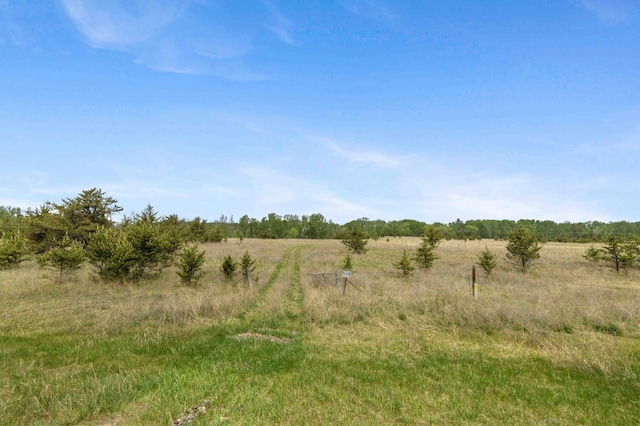 93 County 49 NW, Pine River, MN 56474 - view of local wilderness featuring rural landscape