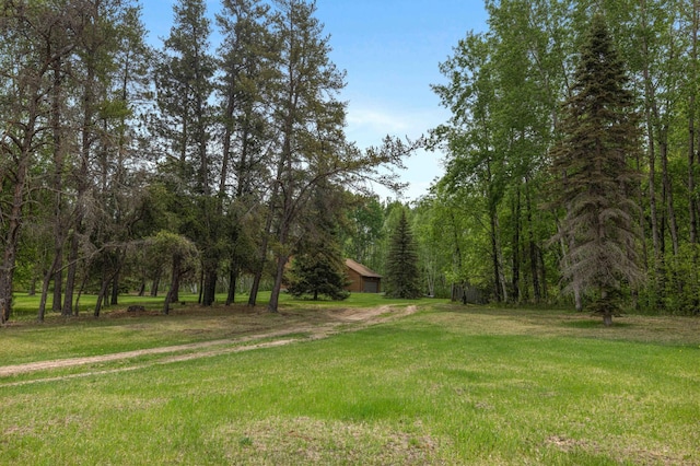 93 County 49 NW, Pine River, MN 56474 - view of grassy yard featuring a forest view