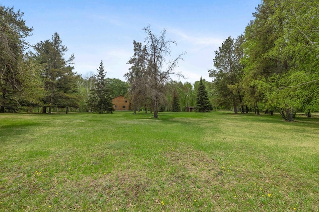 93 County 49 NW, Pine River, MN 56474 - view of green lawn
