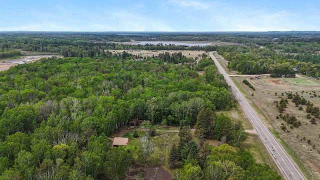 93 County 49 NW, Pine River, MN 56474 - view of property location with a forest