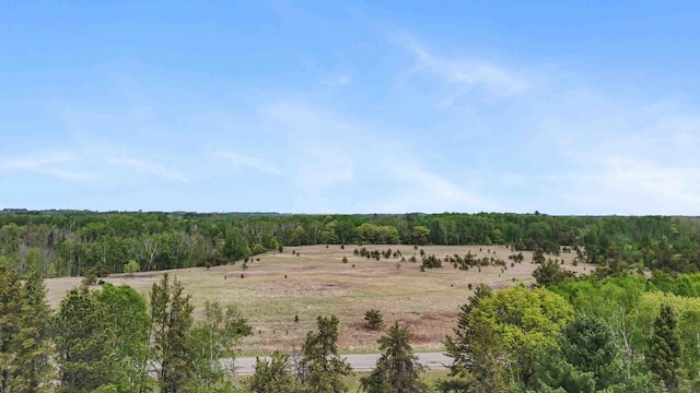 93 County 49 NW, Pine River, MN 56474 - view of woods