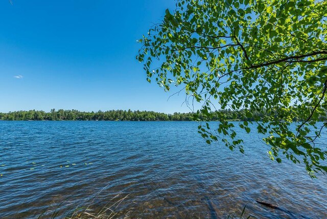 24583 Perrin Pt, Nisswa, MN 56468 - photo 13