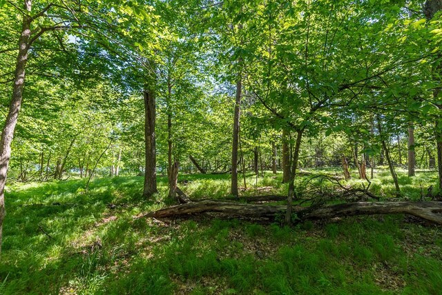 24583 Perrin Pt, Nisswa, MN 56468 - photo 16