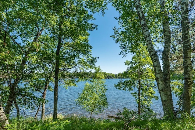 24583 Perrin Pt, Nisswa, MN 56468 - photo 10