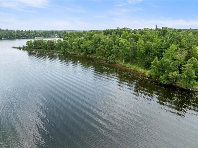 24583 Perrin Pt, Nisswa, MN 56468 - photo 2