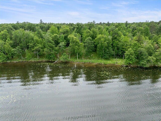 24583 Perrin Pt, Nisswa, MN 56468 - photo 8