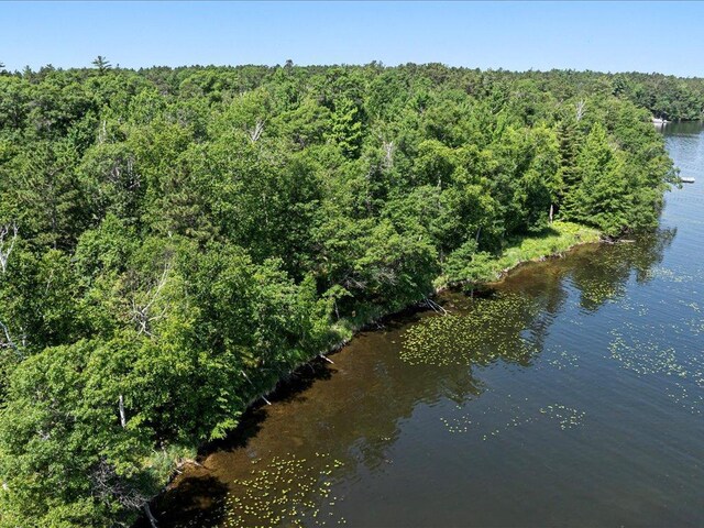 24583 Perrin Pt, Nisswa, MN 56468 - photo 22