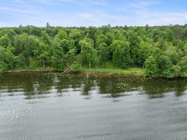 24549 Perrin Pt, Nisswa, MN 56468 - photo 5