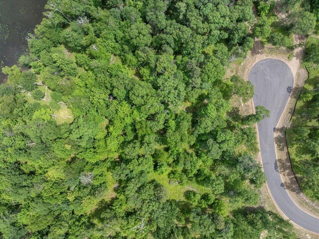24549 Perrin Pt, Nisswa, MN 56468 - photo 8