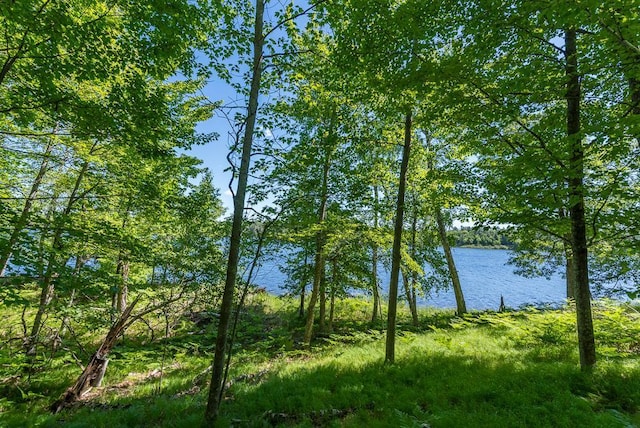 24549 Perrin Pt, Nisswa, MN 56468 - photo 9