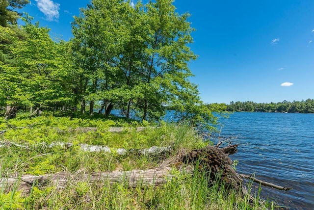 24549 Perrin Pt, Nisswa, MN 56468 - photo 12