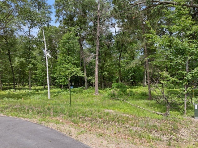 24549 Perrin Pt, Nisswa, MN 56468 - photo 21