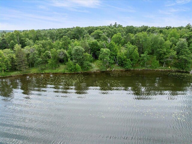 24549 Perrin Pt, Nisswa, MN 56468 - photo 13