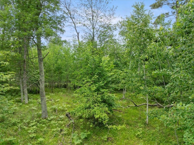 24549 Perrin Pt, Nisswa, MN 56468 - photo 22