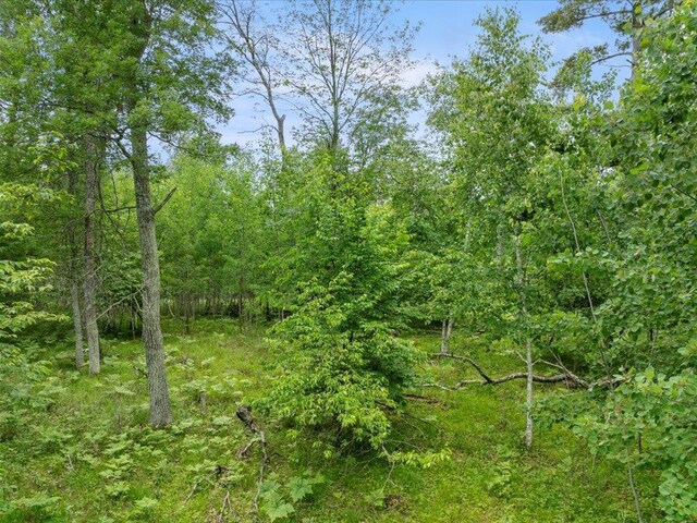24561 Perrin Pt, Nisswa, MN 56468 - photo 20