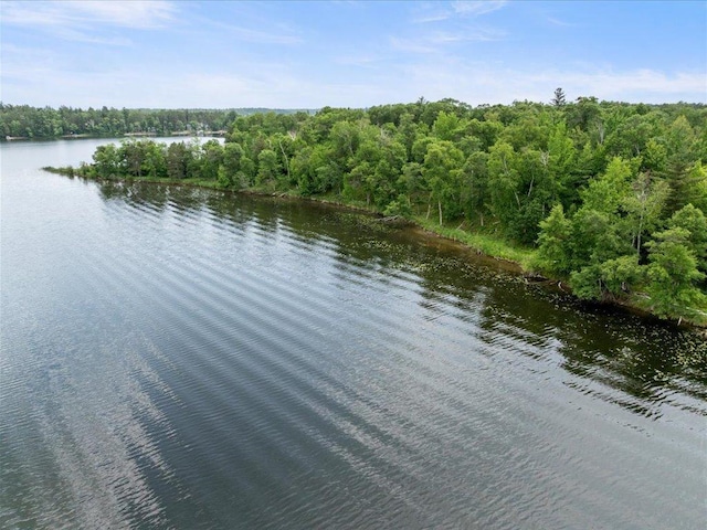 24561 Perrin Pt, Nisswa, MN 56468 - photo 2