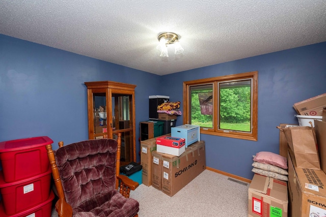 19988 Quentin Ave, Ravenna Twp, MN 55033 - rec room featuring carpet flooring and a textured ceiling
