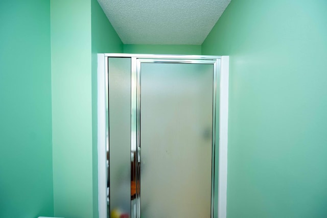 19988 Quentin Ave, Ravenna Twp, MN 55033 - bathroom featuring a textured ceiling and a shower stall