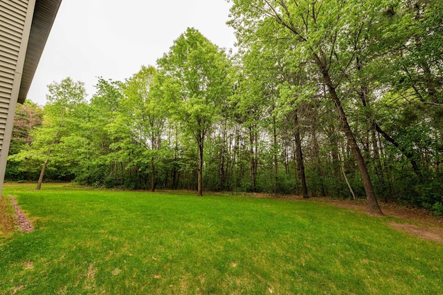 19988 Quentin Ave, Ravenna Twp, MN 55033 - view of green lawn