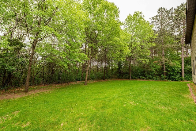 19988 Quentin Ave, Ravenna Twp, MN 55033 - view of green lawn