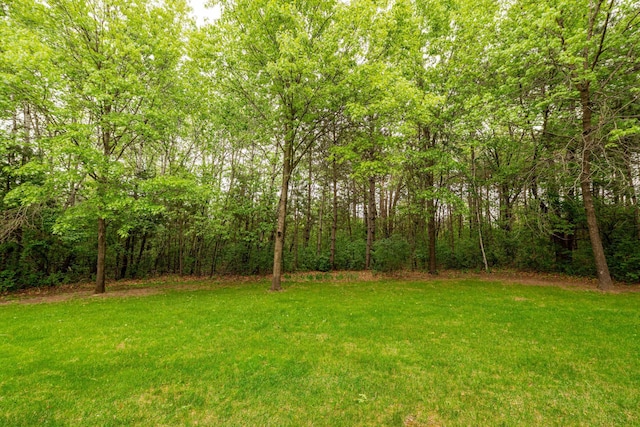 19988 Quentin Ave, Ravenna Twp, MN 55033 - view of grassy yard featuring a forest view