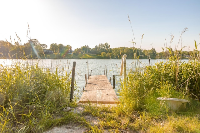 1002 11th Ave W, Alexandria, MN 56308 - dock featuring a water view