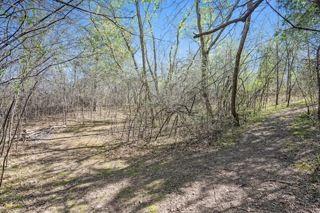 view of local wilderness featuring a wooded view