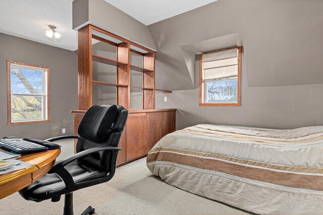 bedroom featuring carpet