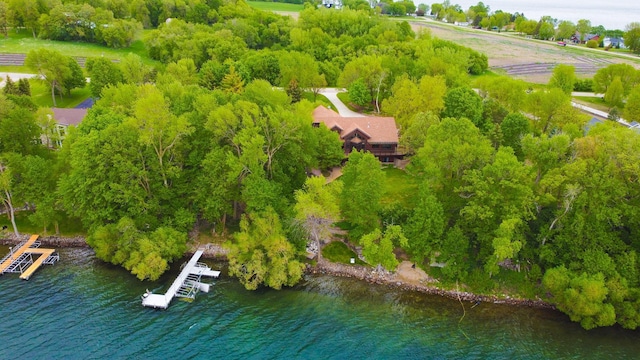 15671 Wermager Beach Rd, Lake Park, MN 56554 - drone / aerial view of a large body of water
