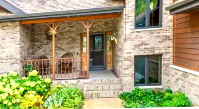 15671 Wermager Beach Rd, Lake Park, MN 56554 - view of exterior entry with a porch and brick siding