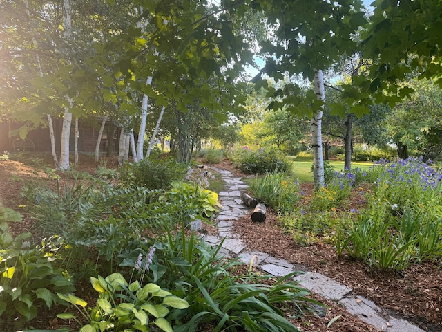 15671 Wermager Beach Rd, Lake Park, MN 56554 - view of yard