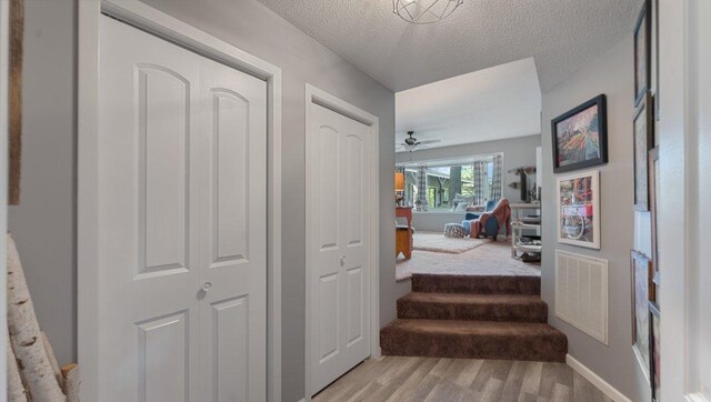 22010 62nd St NW, Colfax Twp, MN 56289 - photo 29