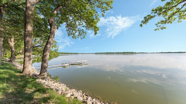 22010 62nd St NW, Colfax Twp, MN 56289 - photo 82
