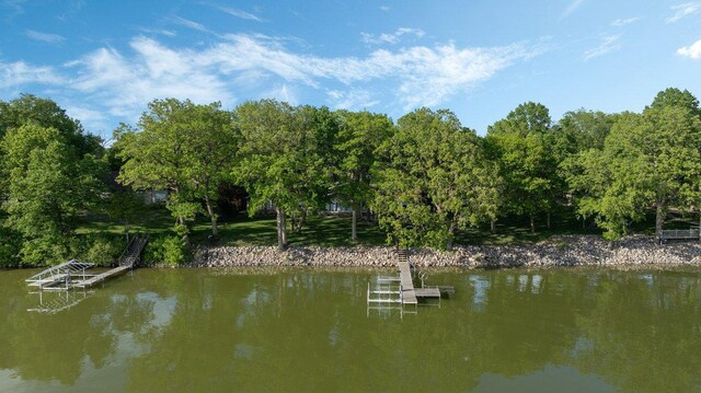 22010 62nd St NW, Colfax Twp, MN 56289 - photo 99
