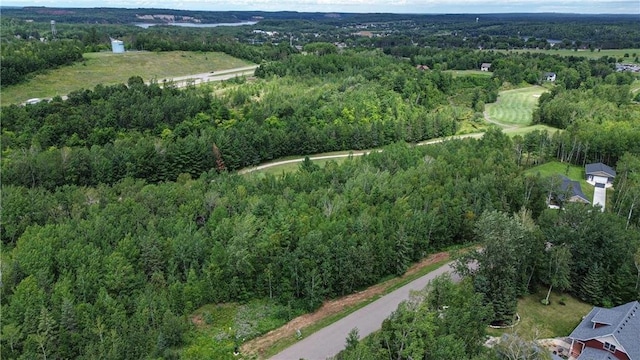 113 Birch Ln, Coleraine, MN 55722 - view of property location with a forest
