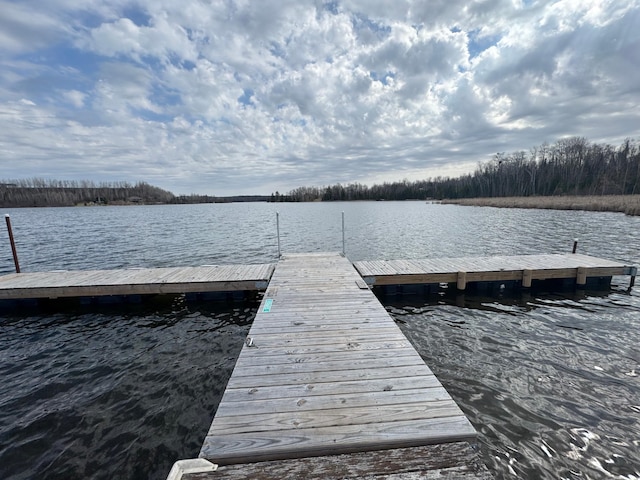 113 Birch Ln, Coleraine, MN 55722 - dock with a water view