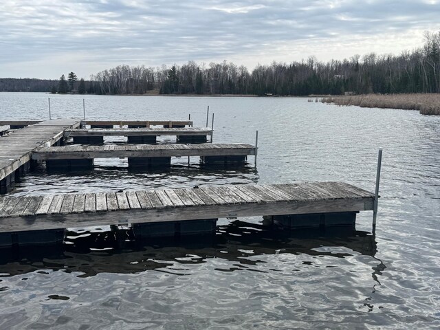 113 Birch Ln, Coleraine, MN 55722 - dock area with a water view