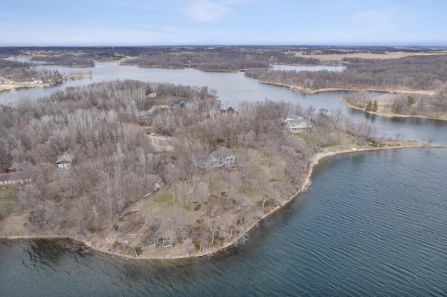 32331 Loon Dr, Candor Twp, MN 56587 - aerial view of property and surrounding area with a large body of water
