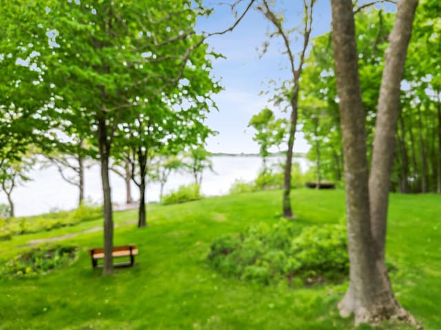 32331 Loon Dr, Candor Twp, MN 56587 - view of green lawn with a water view