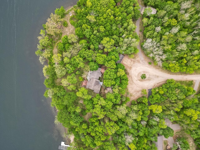 32331 Loon Dr, Candor Twp, MN 56587 - aerial view